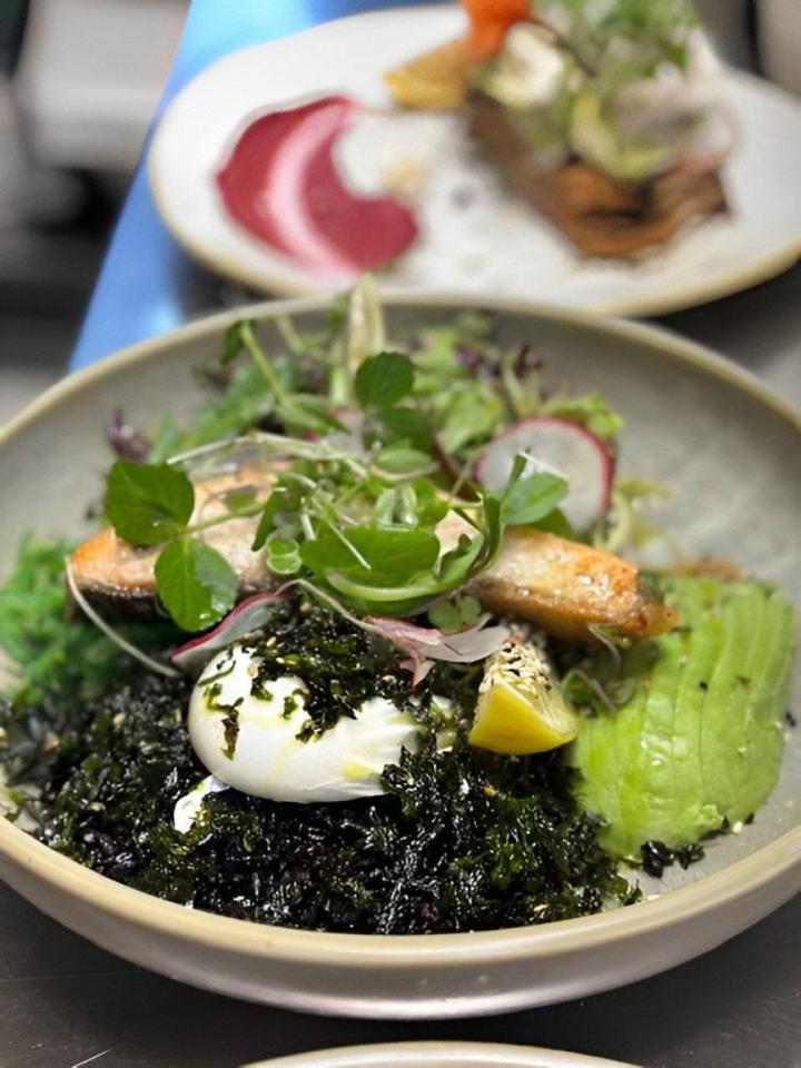 Discover Wholesome Vegetarian and Vegan Delights.