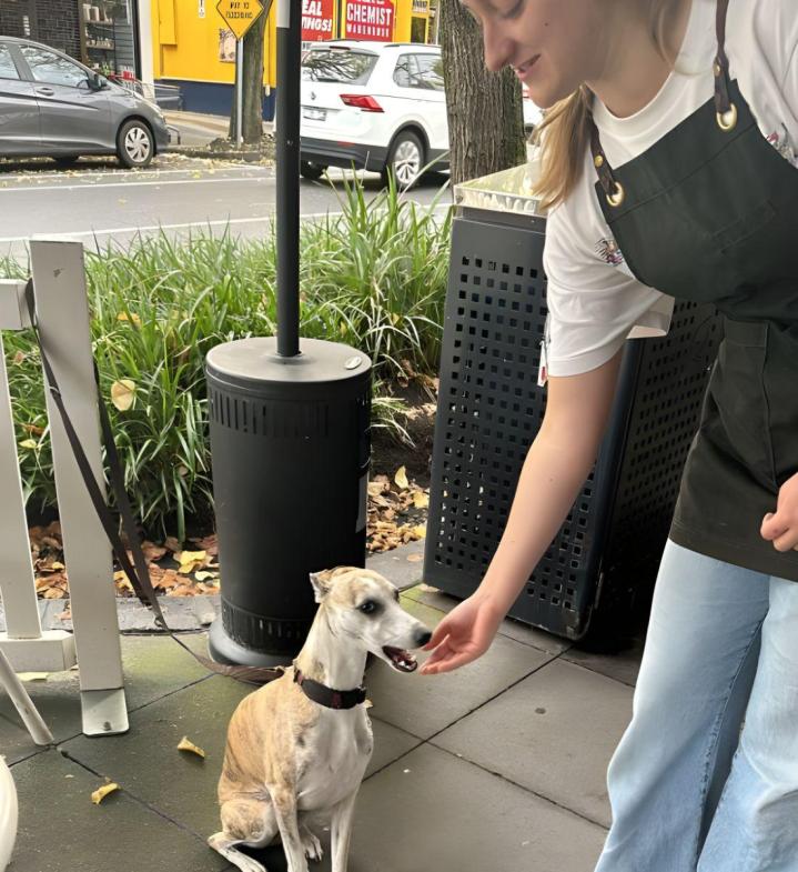 Breakfast Restaurant Brighton